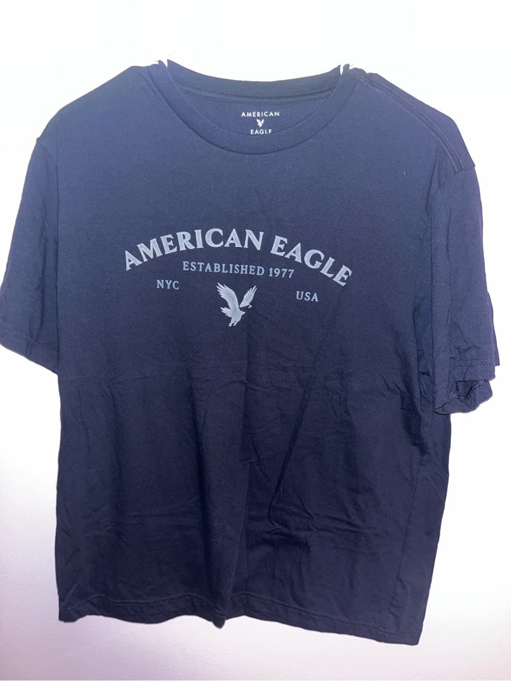 American Eagle Outfitters Men’s Navy Graphic Logo Tee